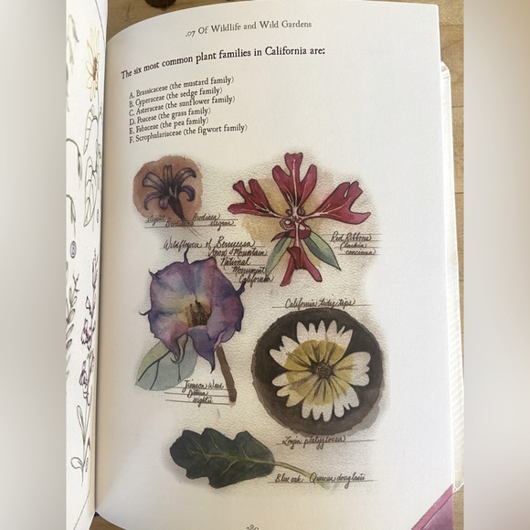 The California Field Atlas 📕 by Obi Kaufman - Picture 3 of 3